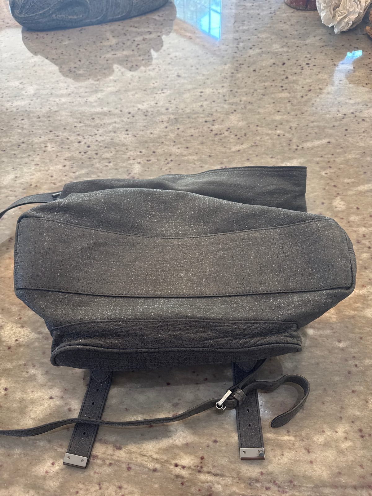 Mulberry Alexa Hobo in Grey Sparkle Leather