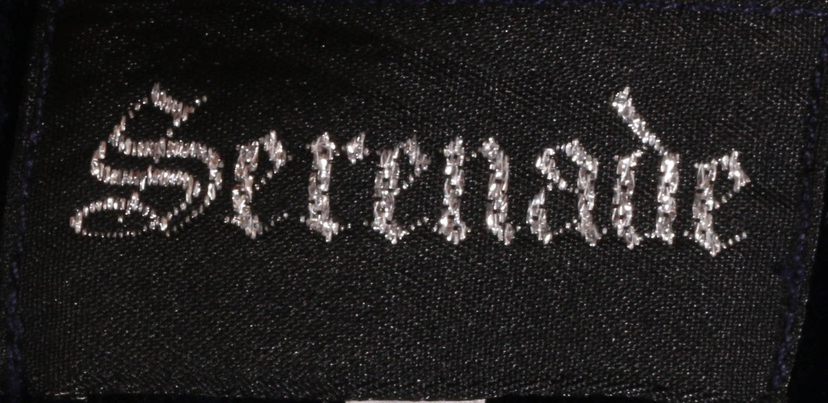 Serenade silk beaded top and velvet skirt size 16 label